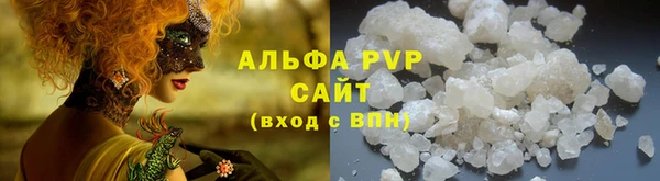 крисы Алзамай
