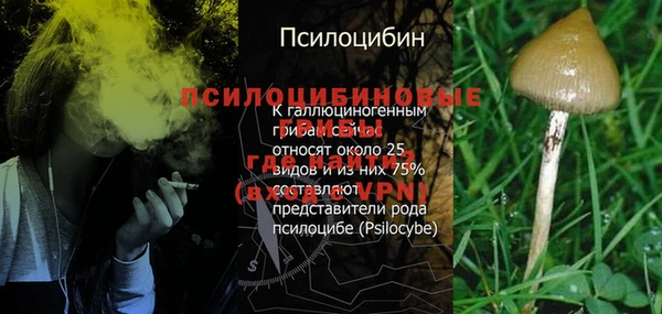 кокаин премиум Алексин