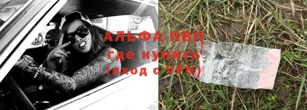 крисы Алзамай