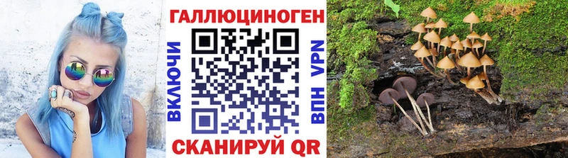 Псилоцибиновые грибы Magic Shrooms  Добрянка 