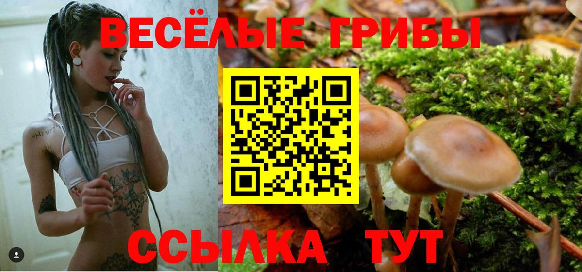 Псилоцибиновые грибы Cubensis  Вход с VPN  Добрянка  Галлюциногенные грибы Cubensis 