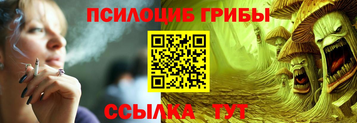 Псилоцибиновые грибы Psilocybe Добрянка